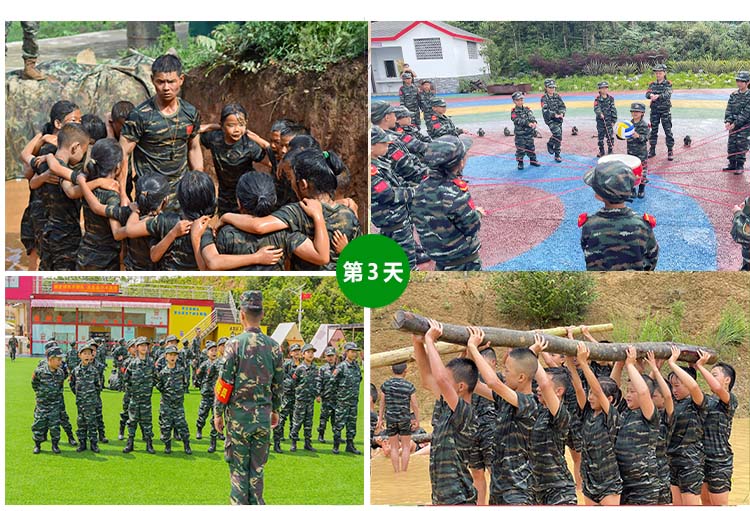 1709020176761760.jpg 3.jpg