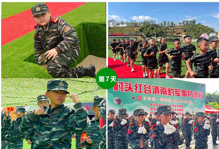 1709020228908528.jpg 6.jpg